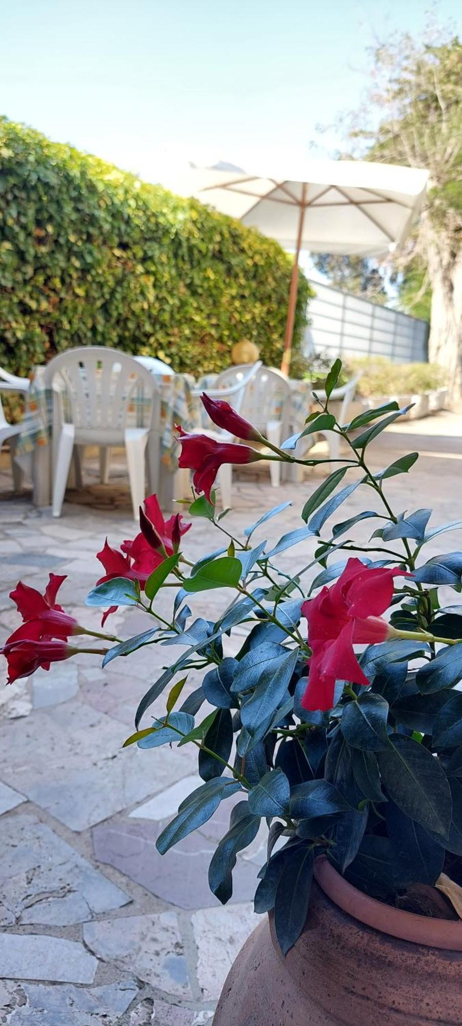 Hotel Lea Grosseto Kültér fotó